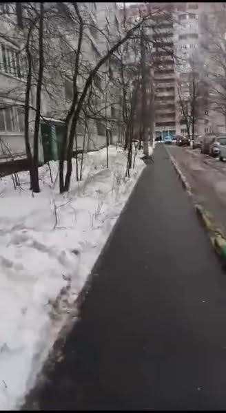 
        Гуляющую по двору лису сняли на видео жители Казани
    