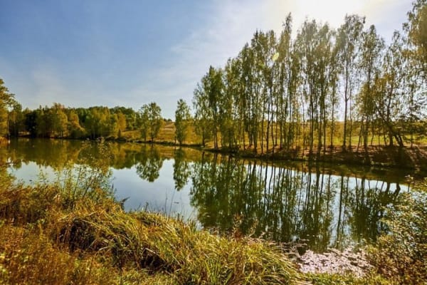 В Татарстане откроется санаторно-курортный комплекс мирового уровня