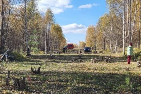 «От главы дачного поселения до президента России»: многодетные семьи из Яшь Кеч остаются без инфраструктуры